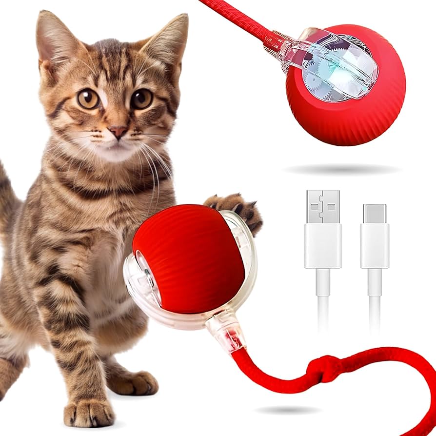 PETJOY BALL™ – La pelota interactiva que mantiene feliz y activo a tu peludo.