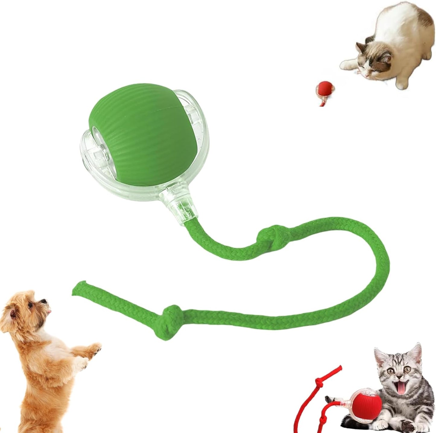 PETJOY BALL™ – La pelota interactiva que mantiene feliz y activo a tu peludo.