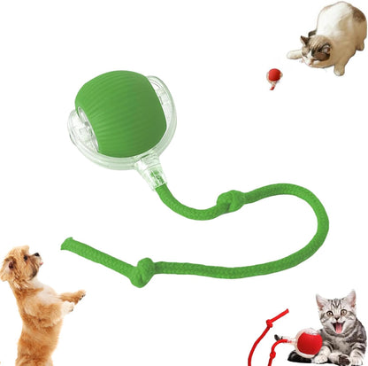 PETJOY BALL™ – La pelota interactiva que mantiene feliz y activo a tu peludo.
